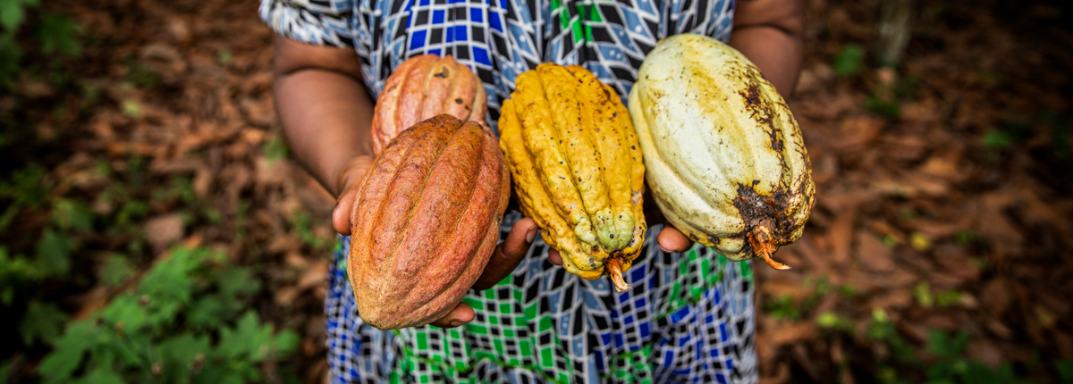 West Africa Biodiversity and Low Emissions Development (WABiLED) activity