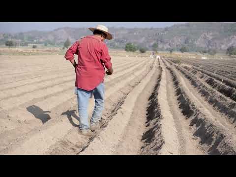 Watch (FRENCH) EFAT Supports Global Community of Practice on Agricultural Extension and Advisory Services on YouTube