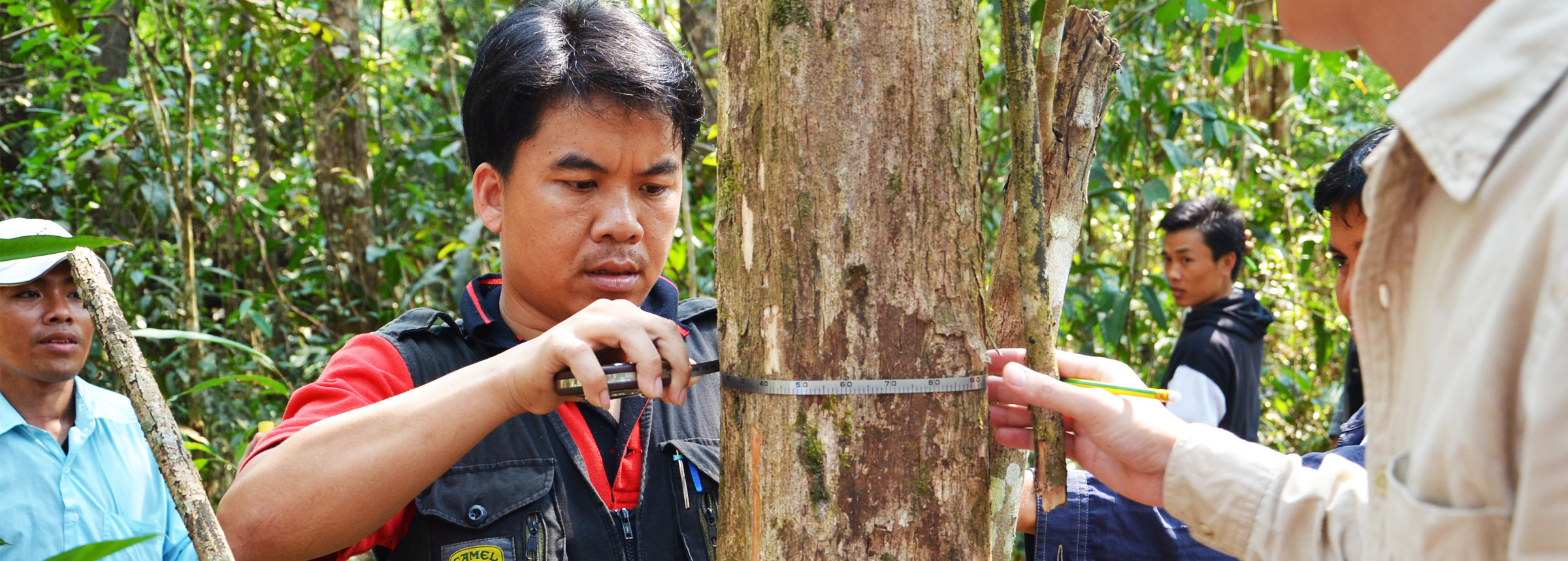 Biomass assessment training
